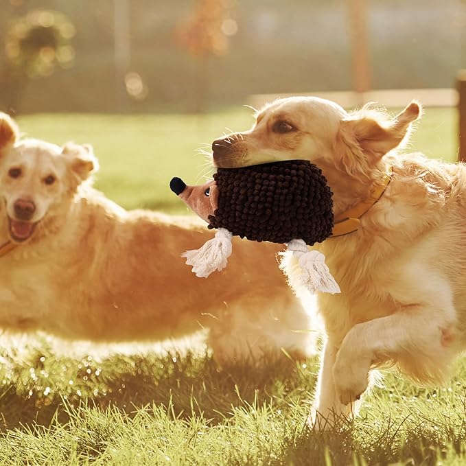 Dog Squeaky Toys for Dogs - Hedgehog Mop Plush Interactive Rope Toy, Durable Chew Toy with Squeaker and Crinkle for Small to Large Dogs, Tug of War Pet Toy for Puppies & Aggressive Chewers