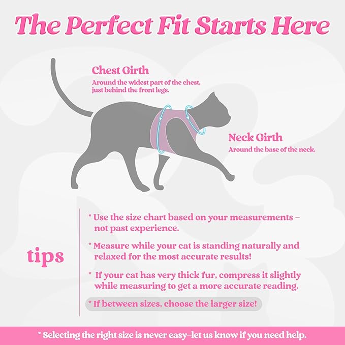 rabbitgoo Cat Harness and Leash Set for Walking Escape Proof, Adjustable Soft Kittens Vest with Reflective Strip for Cats, Comfortable Outdoor Vest, Pink, M