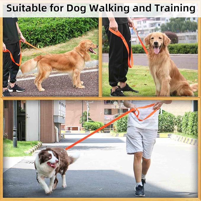 AMAGOOD 6 FT Puppy/Dog Leashes, Traditional Style Leash with Easy to Use Collar Hook, Great for Small, Medium and Large Dogs (1 in x 6 ft, Orange)