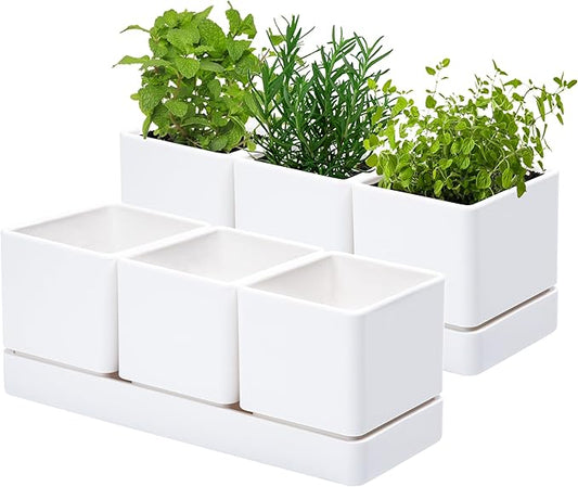 D'vine Dev Herb Garden Planter Set, Plastic Plant Pots with Drainage and Saucer, Indoor Succulent Cactus Vegetable Pot for Windowsill, Garden Balcony, White, Set of 2, 76-V-A-2
