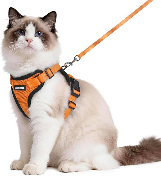 rabbitgoo Cat Harness and Leash for Walking, Escape Proof Soft Adjustable Vest Harnesses for Cats, Easy Control Breathable Reflective Strips Jacket, Orange, M