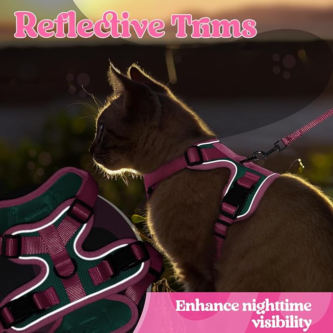rabbitgoo Cat Harness and Leash Set, Escape Proof Soft Adjustable Vest Harnesses for Outdoor Walking, Easy Control Breathable Kitten Jacket with Reflective Strips, Green & Pink, S