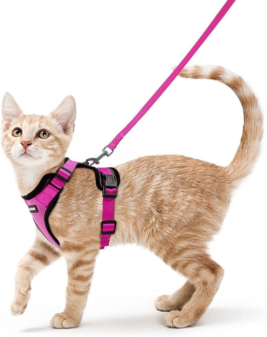 rabbitgoo Cat Harness and Leash for Walking, Escape Proof Soft Adjustable Vest Harnesses for Cats, Easy Control Breathable Reflective Strips Jacket, Rose Red,S