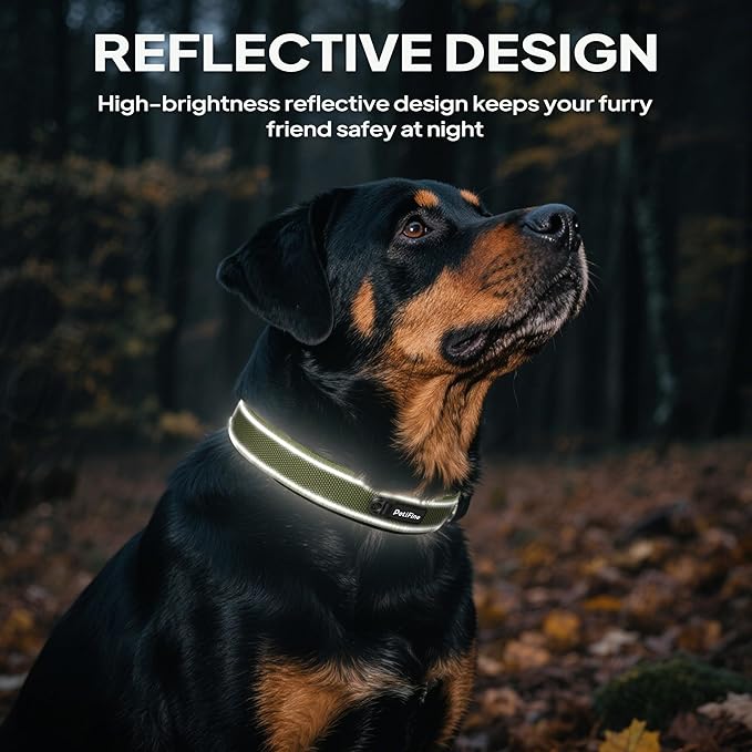 PetiFine Dog Collars for Small Dogs, Neoprene Padded Dog Collar, Reflective Heavy Duty Pet Collars with Durable Metal Belt Buckle for Walking, Green, S