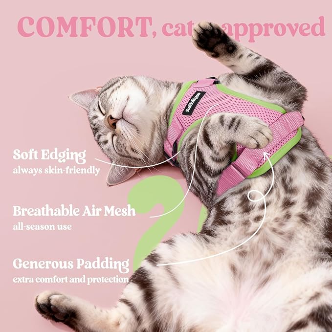 rabbitgoo Cat Harness and Leash for Walking, Escape Proof Soft Adjustable Vest Harnesses for Cats, Easy Control Breathable Reflective Strips Jacket, Pink&Light Green, M