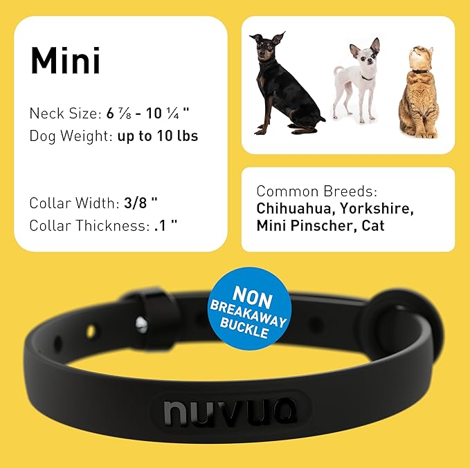 Dog Collar - Comfortable, Soft and Lightweight Adjustable Collar with Name Tag Ring for Miniature Dogs and Puppies - Non Breakaway Cat Collar by Nuvuq (Black, Mini)