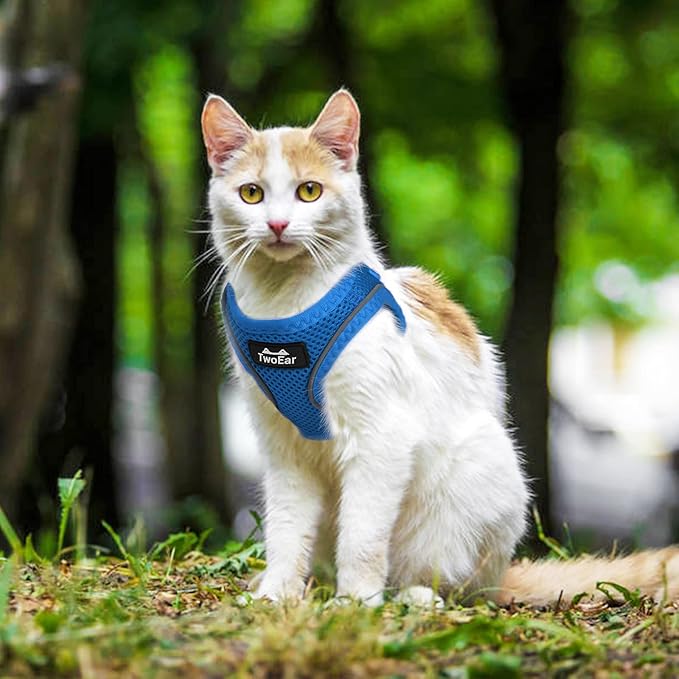 TwoEar Cat Harness Escape Proof, Soft Dog Vest Harness Adjustable, Breathable Mesh Step-in Puppy Walking Jacket Reflective Easy Control for Extral Small Pets for Outdoor Walking(XXS, Blue)