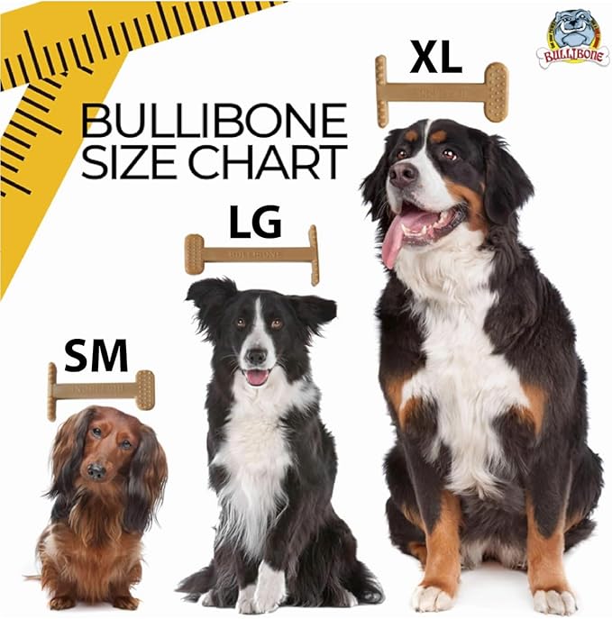 Bullibone Nylon Dog Chew Toy for Aggressive Chewers - Dental Hygiene Bone with Beef Flavor, Durable Tough Chew Toys for Large Dogs, Indestructible Dog Bone - 3 Pack