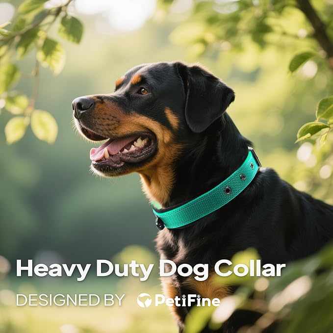 PetiFine Dog Collars for Medium Dogs, Neoprene Padded and Adjustable, Reflective Wide Heavy Duty Pet Collars with Durable Metal Belt Buckle for Walking, Teal, M