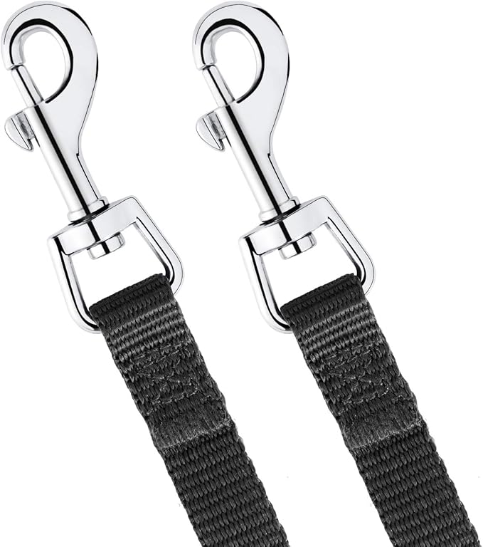 AMAGOOD 6 FT Puppy/Dog Leashes, Strong Traditional Style Leash with Easy to Use Collar Hook,Dog Lead Great for Small and Medium and Large,2 Pack (Black and Black,5/8")