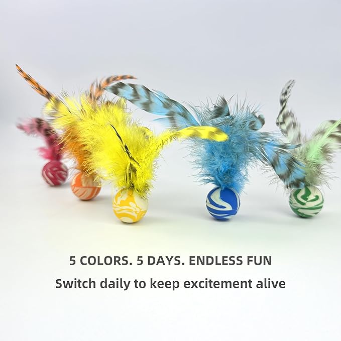 Feather Chase & Fetch Balls for Indoor Cats – 5 Pack Durable Rubber Cat Toys with Natural Feathers, Interactive Exercise & Hunting Play, Bouncy Balls for Active Kittens and Adult Cats