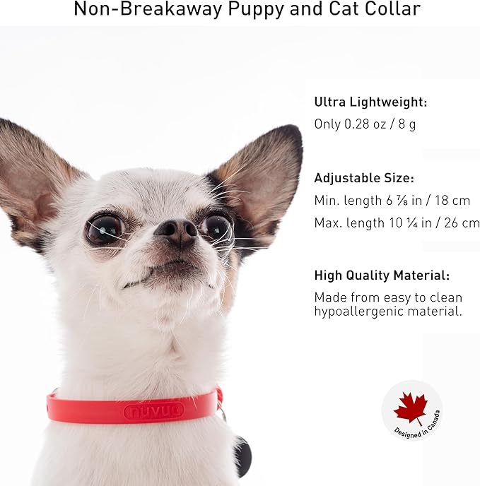 Dog Collar - Comfortable, Soft and Lightweight Adjustable Collar with Name Tag Ring for Miniature Dogs and Puppies - Non Breakaway Cat Collar by Nuvuq (Red, Mini)