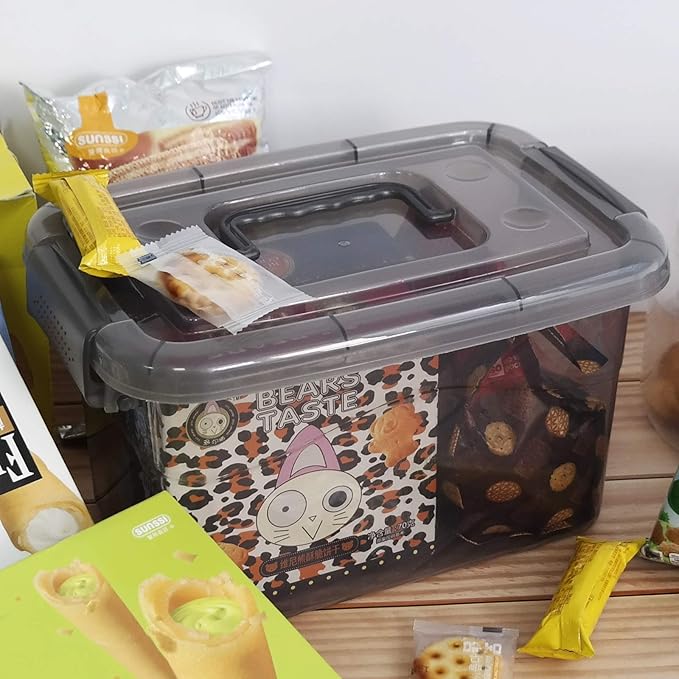 5L Plastic Storage Bin with Lid, Latching Box with Handles, Set of 6