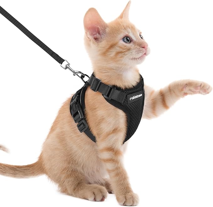 rabbitgoo Cat Harness and Leash for Walking, Escape Proof Soft Adjustable Vest Harnesses for Cats, Easy Control Breathable Reflective Strips Jacket, Black, XXS