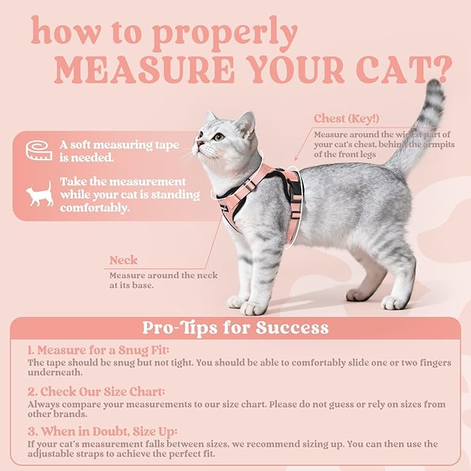 rabbitgoo Cat Harness and Leash for Walking, Escape Proof Soft Adjustable Vest Harnesses for Cats, Easy Control Breathable Reflective Strips Jacket, Light Salmon Pink, XXS