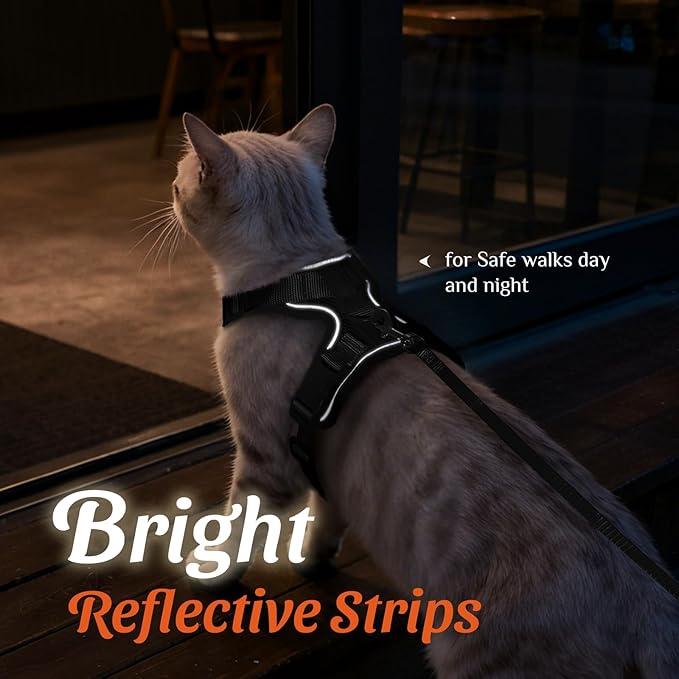 Dooradar Cat Harness and Leash Set, Escape Proof Safe Adjustable Kitten Vest Harnesses for Walking, Easy Control Soft Breathable Mesh Jacket with Reflective Strips for Cats, Black, M