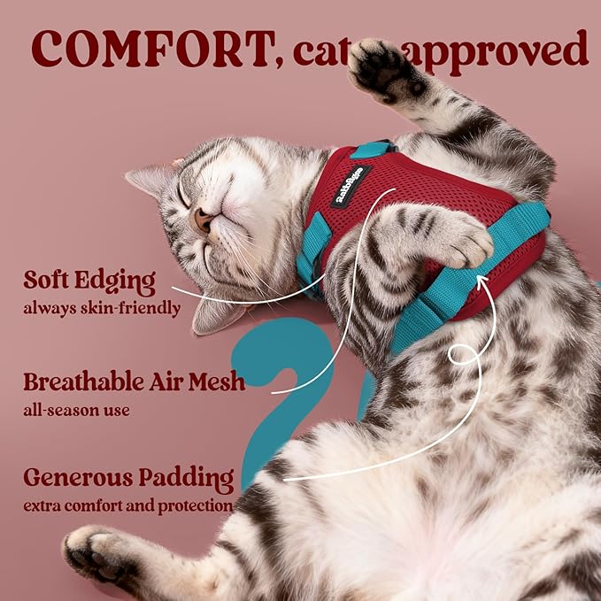 rabbitgoo Cat Harness and Leash for Walking, Escape Proof Soft Adjustable Vest Harnesses for Cats, Easy Control Breathable Reflective Strips Jacket, Red & Teal, XXS
