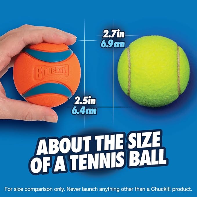 Chuckit! Ultra Ball Dog Toy - Medium Bouncy Fetch Balls for Dogs 20-60 lbs - Made from Durable Rubber - Floating Water Pet Toys - Size Medium - 2.5-inch Diameter - Pack of 6