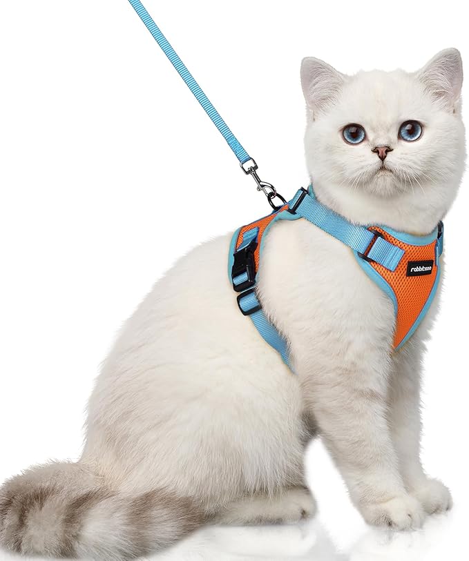 rabbitgoo Cat Harness and Leash Set, Escape Proof Soft Adjustable Vest Harnesses for Outdoor Walking, Easy Control Breathable Kitten Jacket with Reflective Strips, Orange & Light Blue, XS