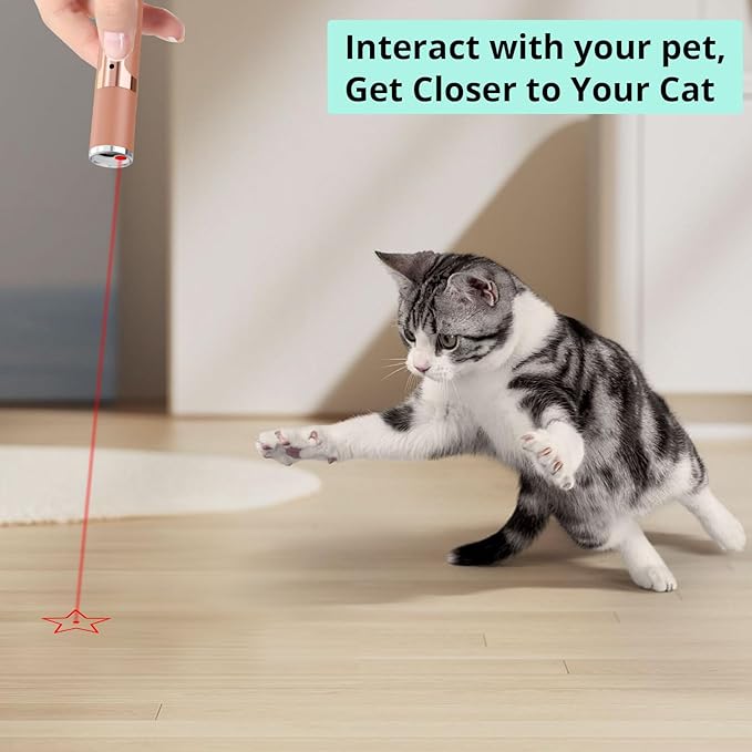 TBTeek Cat Toys, with Metal Case, 2 Pieces, Rechargeable, 7 Adjustable Patterns, Interactive Kitten Pet Dog Red Dot Chase Light Toy for Cats Fun Playing Exercise(Rose Gold)