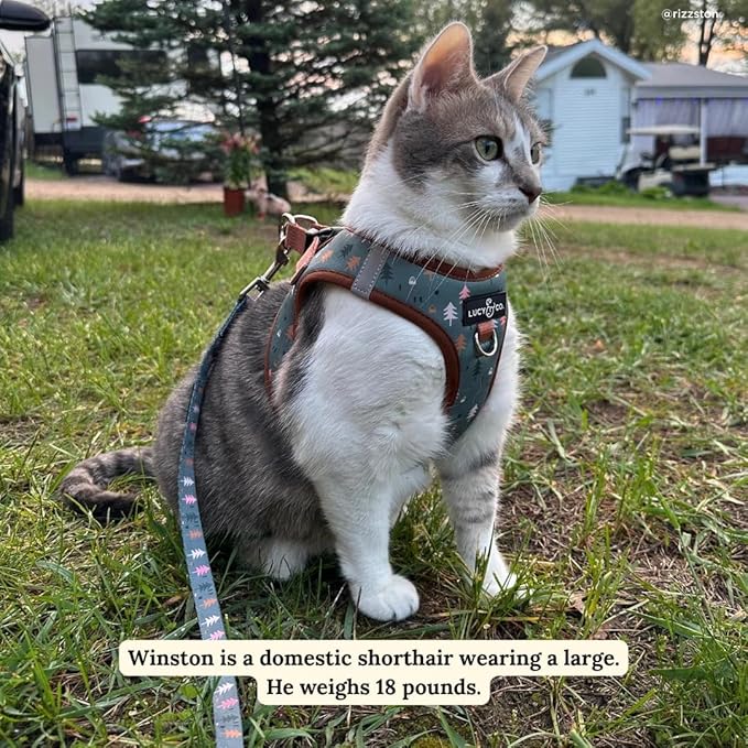 Lucy & Co. Take a Hike Step-in Cat Harness & Leash Bundle – Reflective, Breathable & Adjustable Harness for Cats, Kittens & Small Dogs, Lightweight & Secure and Dual Leash Clips – Small