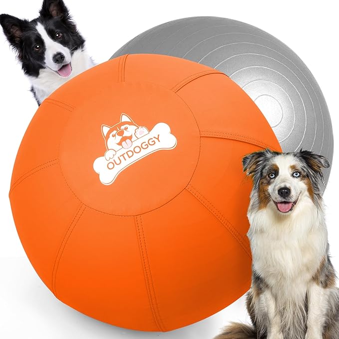 Herding Ball for Dogs 22 Inch - Dual-Layer Durable Herding Ball for Australian Shepherds, Border Collies & Cattle Dogs | Outdoor Herding Toy for Medium/Large Dogs - Backyard Training and Play-Orange
