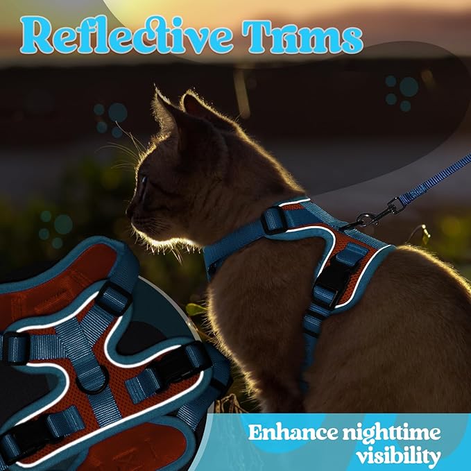 rabbitgoo Cat Harness and Leash Set, Escape Proof Soft Adjustable Vest Harnesses for Outdoor Walking, Easy Control Breathable Kitten Jacket with Reflective Strips, Orange & Light Blue, M