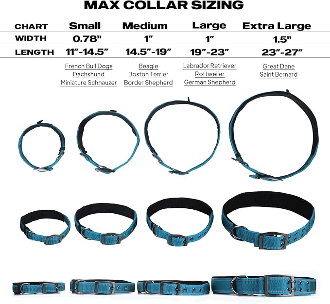 PetiFine Dog Collar for Large Dogs, Neoprene Padded and Adjustable, Reflective Wide Heavy Duty Pet Collars with Durable Metal Belt Buckle for Walking, Blue, L