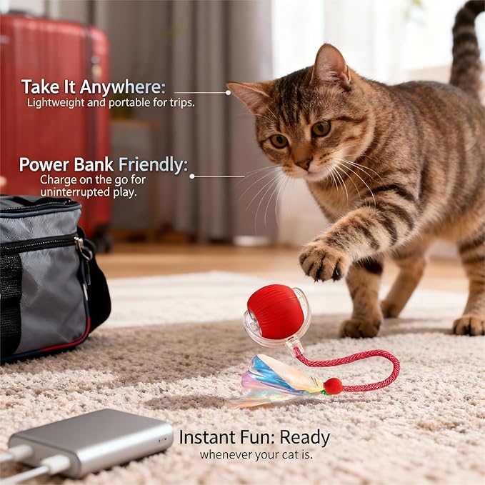 JBD Interactive Cat Toy Ball for Indoor Cats - Silent Automatic Rolling & Self Moving Electric Kitten Toys, USB Rechargeable Smart Ball with Tail, Motion Activated Hunting Exercise for Bored Cats