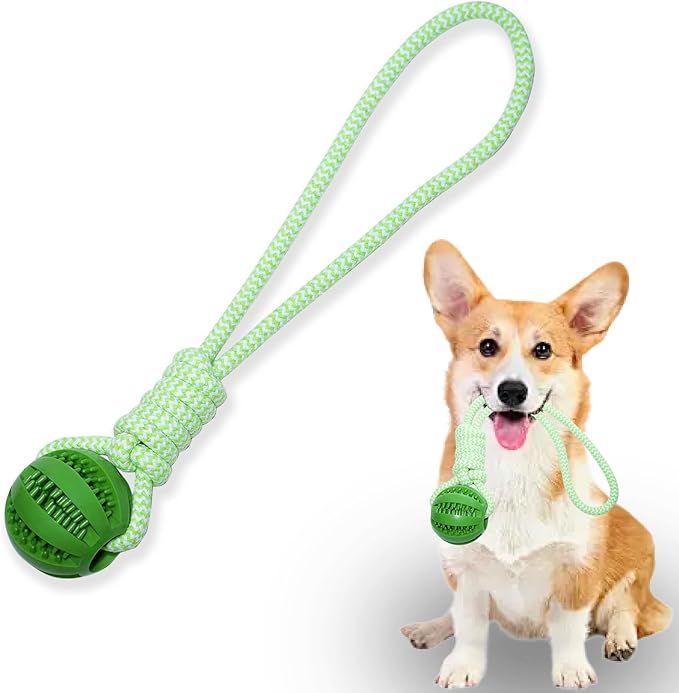 Dog Rope Toy for Small and Medium Dogs, Interactive Rope Toy for Dogs, Tug of War, Teeth Cleaning, Training, Fetch Outdoor Puppy Chew Toys with Rubber Ball (Green)