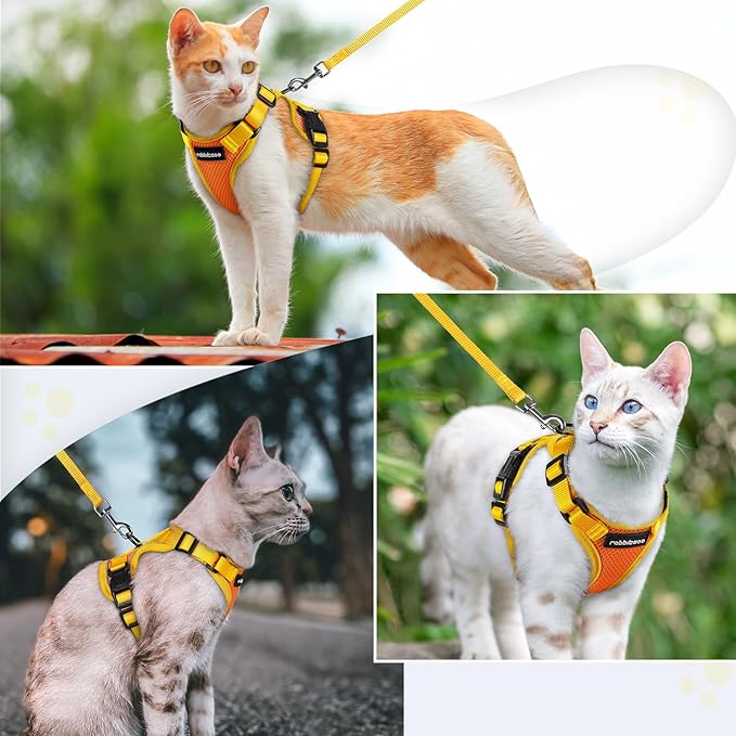 rabbitgoo Cat Harness and Leash Set, Escape Proof Soft Adjustable Vest Harnesses for Outdoor Walking, Easy Control Breathable Kitten Jacket with Reflective Strips, Orange & Yellow, XXS