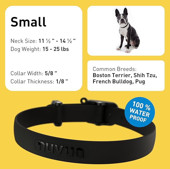 Waterproof Dog Collar - Durable, Comfortable and Adjustable Outdoor Dog Collar with Wear Resistant Buckle and ID Tag Ring for Small Dogs by Nuvuq (Black, Small)