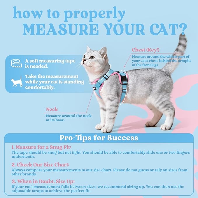 rabbitgoo Cat Harness and Leash for Walking, Escape Proof Soft Adjustable Vest Harnesses for Cats, Easy Control Breathable Reflective Strips Jacket, Light Blue&Pink, XS