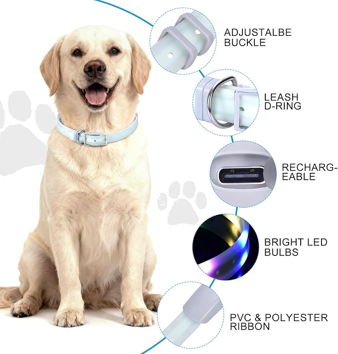 Lighted Dog Collar, Rechargeable Light Up Pet Collar, Waterproof LED Dog Collar Glow in The Dark, Make Pet Visible and Safety for Night Walking for Small Medium Large Dogs (Red)
