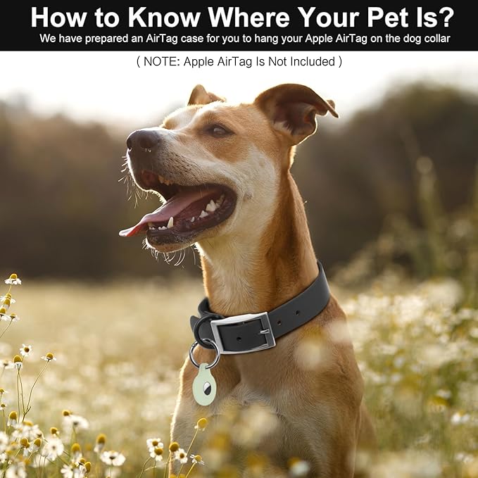 Wisedog Waterproof Dog Collar: Multiple Adjust 7" to 23.6", Soft Rubber Coated Webbing, Easy to Clean, for Small Medium Large Dogs (S|8.5"-12.5" × 4/5 in, Black)