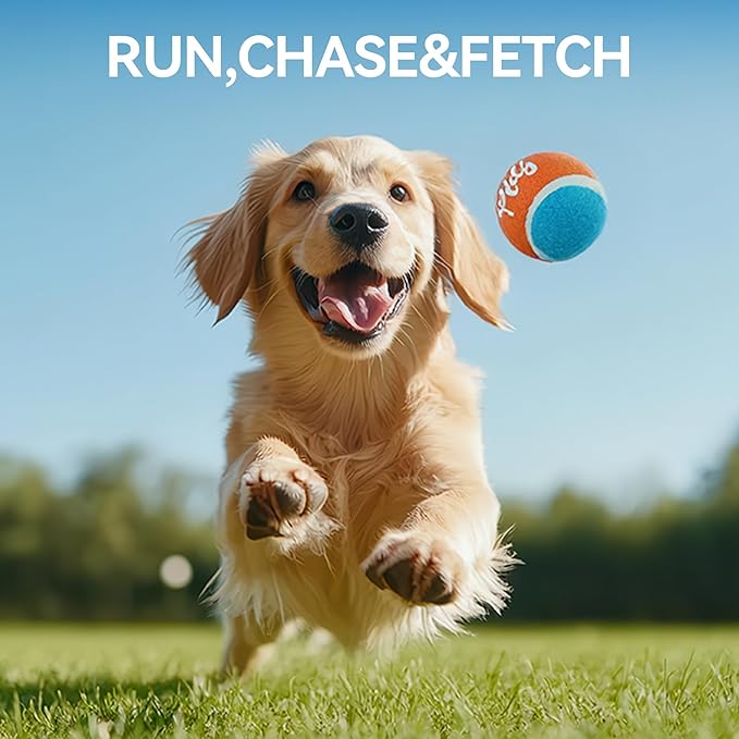 ALL FOR PAWS 2.5" Tennis Balls for Dogs, Dog Balls for Ball Launcher Toy, Bouncy & Durable Fetch Balls for Medium Large Dogs, 4 Pack Fetch Toy for Outdoor Play