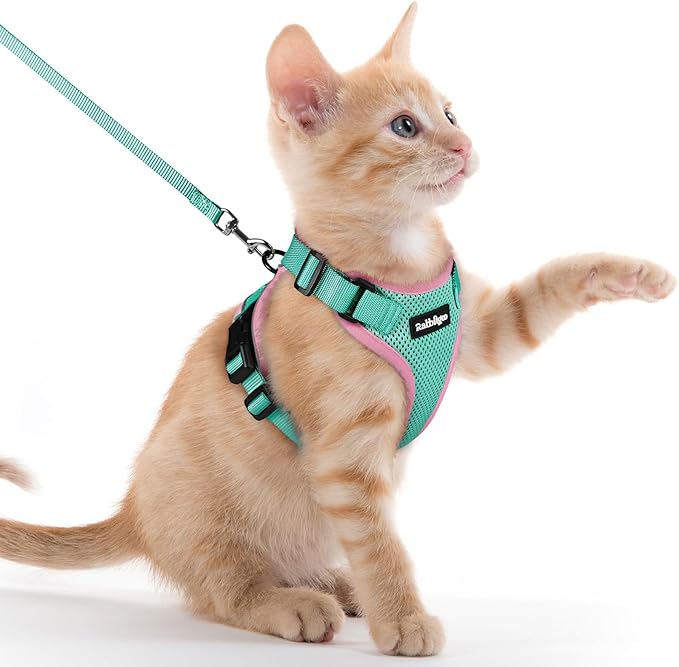 rabbitgoo Cat Harness and Leash for Walking, Escape Proof Soft Adjustable Vest Harnesses for Cats, Easy Control Breathable Reflective Strips Jacket, Green&Pink, XXS