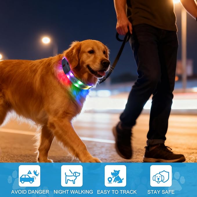 Lighted Dog Collar, Rechargeable Light Up Pet Collar, Waterproof LED Dog Collar Glow in The Dark, Make Pet Visible and Safety for Night Walking for Small Medium Large Dogs (Green)
