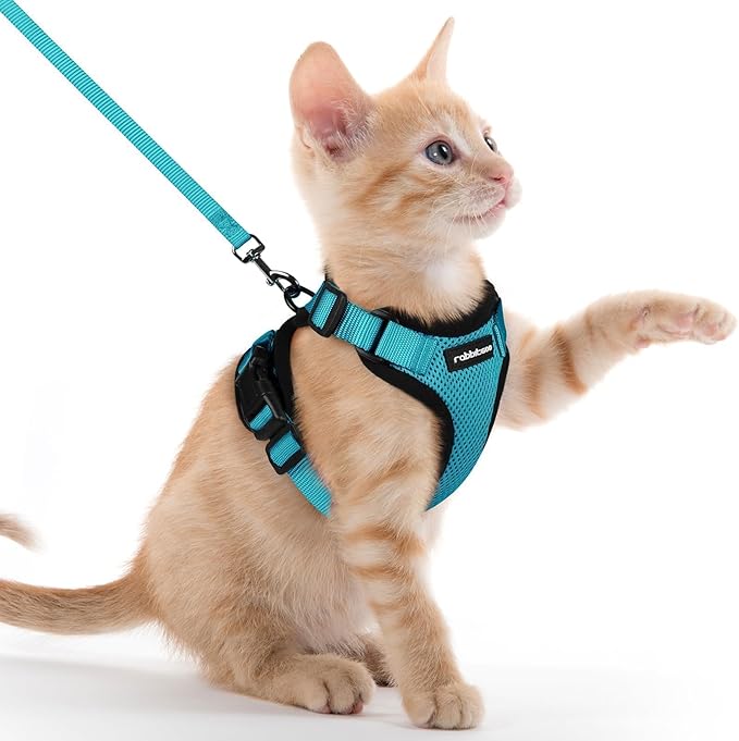 rabbitgoo Cat Harness and Leash for Walking, Escape Proof Soft Adjustable Vest Harnesses for Cats, Easy Control Breathable Reflective Strips Jacket, Teal, XXS