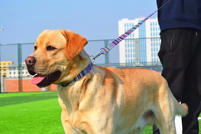 Dog Collar and Leash Set with Bohemia Floral Tribal Geometric Patterns - Soft Ethnic Style Collar Adjustable for Small Medium Large Dogs(Bohemian Purple Set,L)