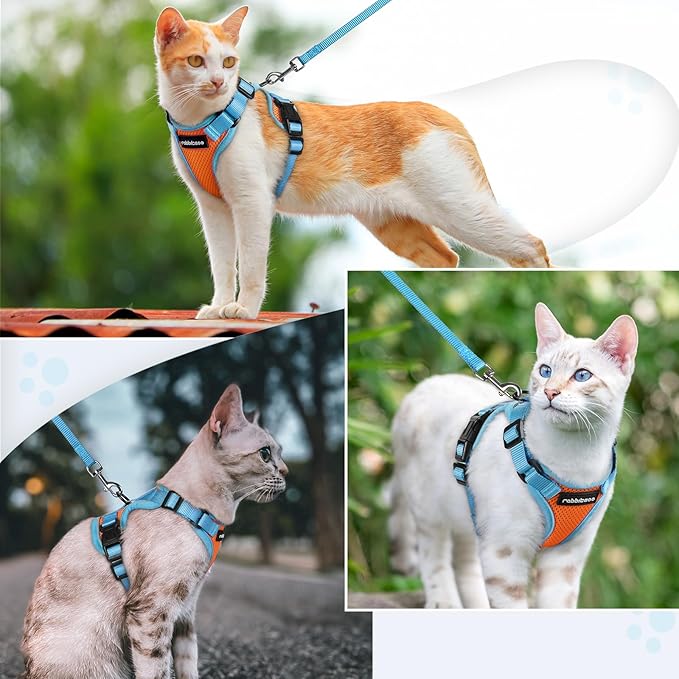 rabbitgoo Cat Harness and Leash Set, Escape Proof Soft Adjustable Vest Harnesses for Outdoor Walking, Easy Control Breathable Kitten Jacket with Reflective Strips, Orange & Light Blue, M