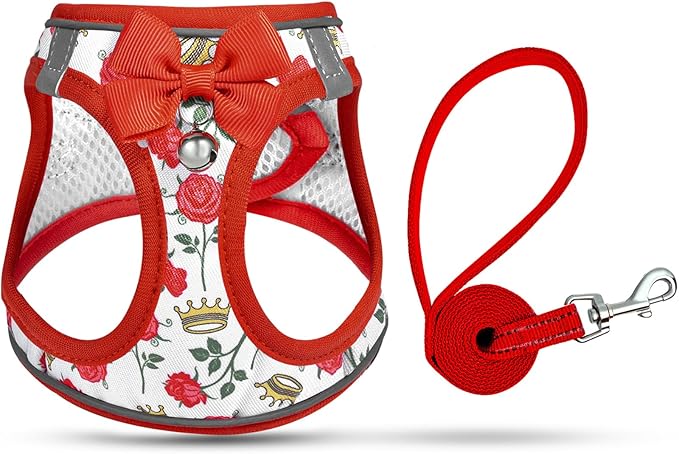 Cat Harness and Leash Escape Proof for Walking, Adjustable Soft Kitten Harness with Reflective Straps Step in Cat Vest Harness for Small Kitten and XS Dogs (Red, XS-Chest(10.2"-11.8"))