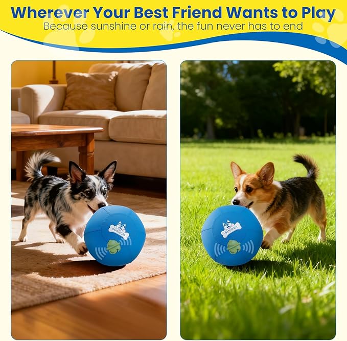 Herding Ball for Dogs 10Inch - Durable Dual-Layer Herding Ball with Built-in Bell for Small Breeds, Puppies, Corgis & Mini Aussies | Indoor & Outdoor Play - Blue