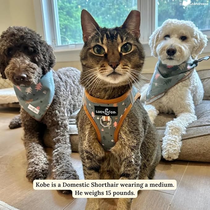 Lucy & Co. Take a Hike Step-in Cat Harness & Leash Bundle – Reflective, Breathable & Adjustable Harness for Cats, Kittens & Small Dogs, Lightweight & Secure and Dual Leash Clips – Large