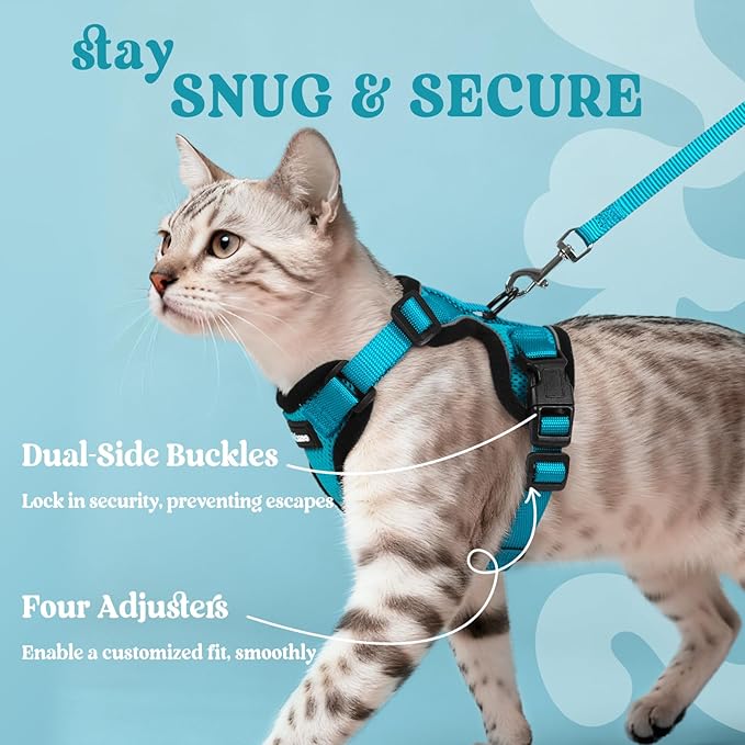 rabbitgoo Cat Harness and Leash for Walking, Escape Proof Soft Adjustable Vest Harnesses for Cats, Easy Control Breathable Reflective Strips Jacket, Teal, S