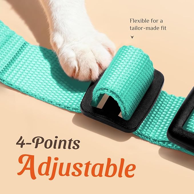 Dooradar Cat Harness and Leash Set, Escape Proof Safe Adjustable Kitten Vest Harnesses for Walking, Easy Control Soft Breathable Mesh Jacket with Reflective Strips for Cats, Green, S