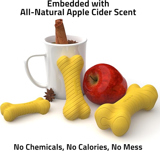 Playology Dog Toys | Dual Layer Bone Durable Chew Toy Bone for Dogs, Value 2-Pack | Small Apple Cider Scented Toy - Limited Edition Fall Scent | Easy to Clean and Made from Non Toxic Materials