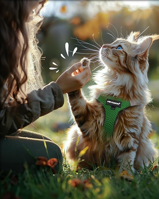 FAYOGOO Cat Harness, Escape Proof, Ultra-Light & Comfortable, Reflective Night Safety, Neon Green, Medium