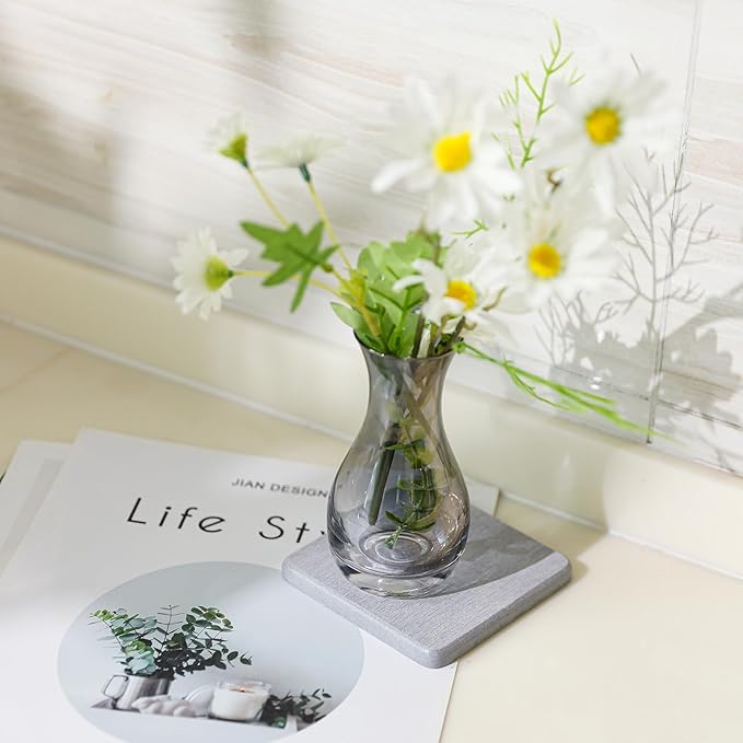 6 Pieces Water Absorbent Diatomite Coasters, Diatomaceous Earth Kitchen Soap Dish Bathroom Trays Water Absorbing Stone Tray for Sink Used for Hand Soaps Drinks Bottles