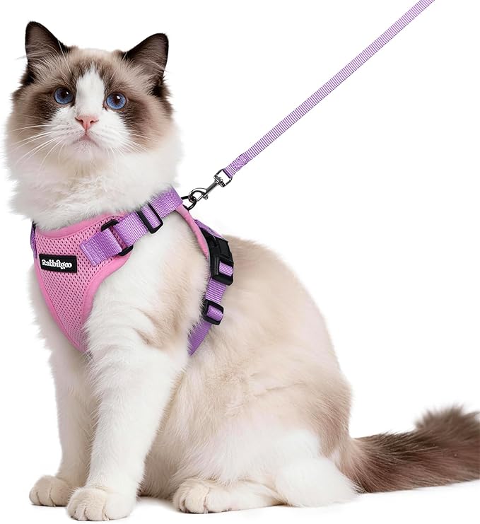 rabbitgoo Cat Harness and Leash for Walking, Escape Proof Soft Adjustable Vest Harnesses for Cats, Easy Control Breathable Reflective Strips Jacket, Pink & Purple, M